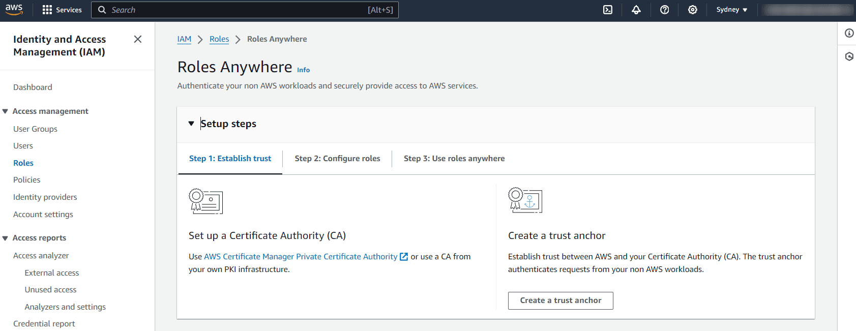 ra-console