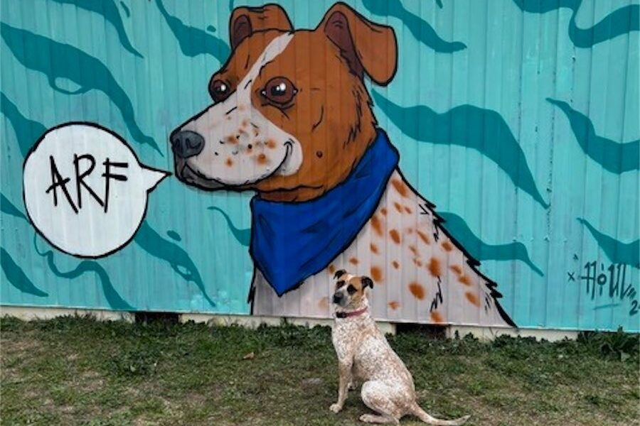 All About ARF - RXRW
